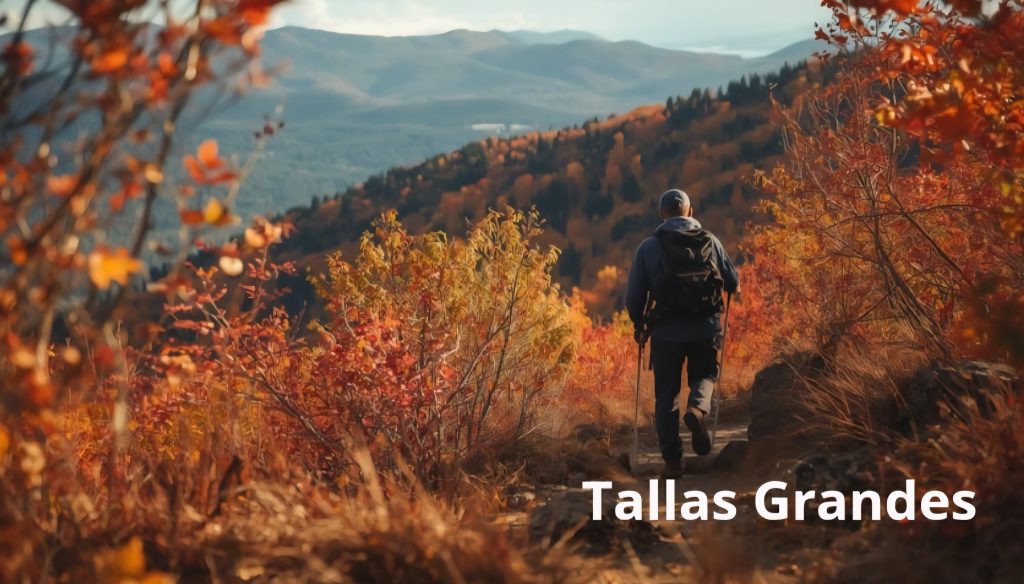 tallas grandes pantalontrekkinghombre.com